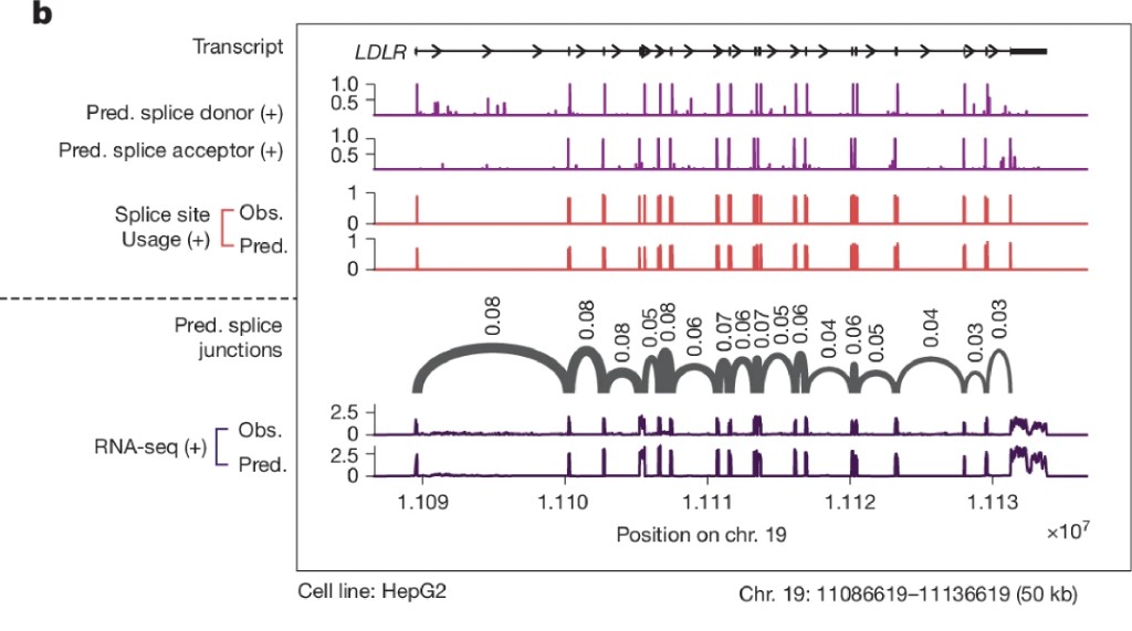 A zoomed view of LDLR locus effects showing reference versus alternative outputs for splice and chromatin signals.