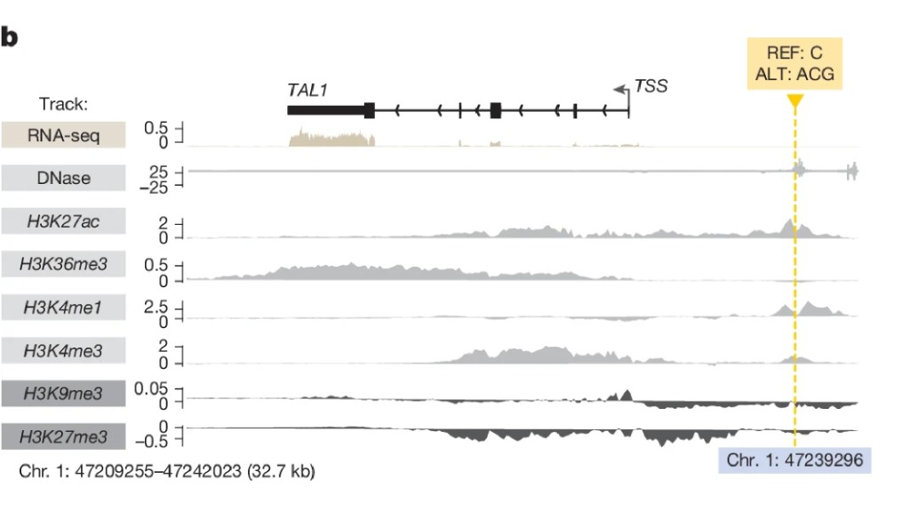 Predicted effects of an oncogenic TAL1 regulatory insertion across RNA-seq and chromatin tracks for reference versus alternative sequence.